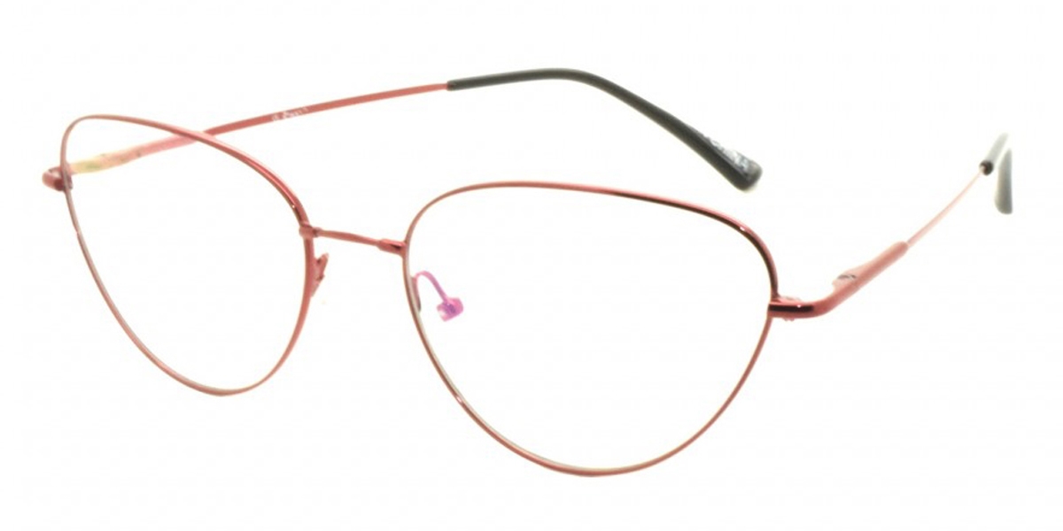 ZTwist ZT828 Eyeglasses